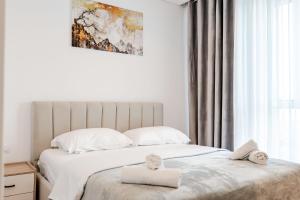 Kalpazo Rental Mosaic Tirana