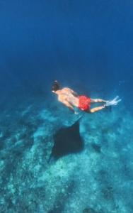 Bajo Komodo Homestay
