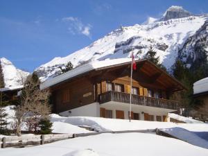 Ferienwohnung Chalet Bergblume