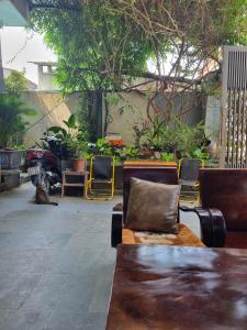 Le Trang homestay - 50cc & bicycle for rent