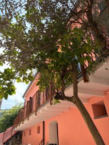 OASI Apartment