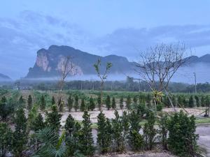 Nordic Mountain View