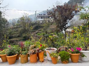 Namaste Homestay