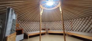 Two yurts healing camp