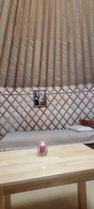 Two yurts healing camp