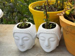 Namaste Homestay
