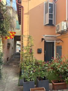 Il Settecento