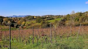 Montecarlo Winery - in a Tuscan Farm with Wi-Fi