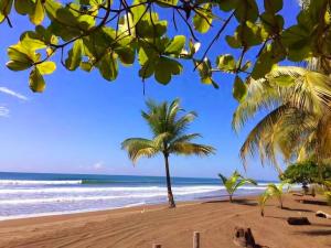 Private Pool Retreat 3min walk to Isla Palo Seco Beach, Sleeps 10, Casa Ylang Ayala