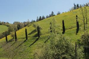 BoscoBo - Relax & Natura