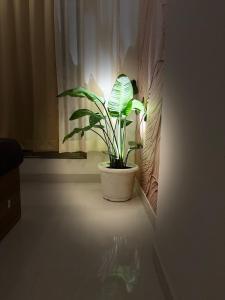 Royce Executive Service Apartments Premium Stay