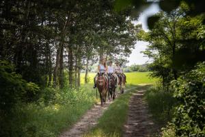 HOMOKI LODGE Bed & Beyond Glamping Adult Only