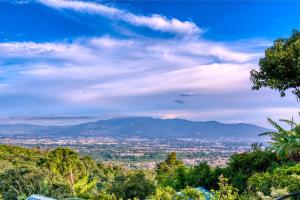 Buena Vista Chic Hotel