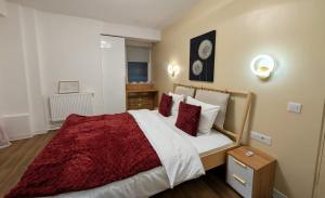 Calea Victoriei Gem Ultracentral Apartments-3 Properties-1 and 2 Bedrooms