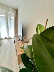 Garden apartment, 5 minutes to Lake Maggiore, near Locarno, Private parking lot