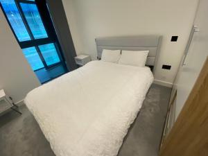 Luxury Apartment near Canary Wharf-O2-Excel-Stratford-Tower Hill-Bank-London Bridge-Bond street