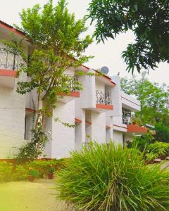 Pine Tree Resort Betla