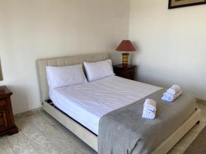 Magnificent Family villa near the Cèze River