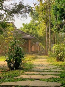 Quiet Bamboo Lodge 2