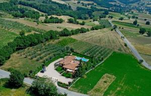 Pet Friendly Home In Gualdo Cattaneo With Sauna