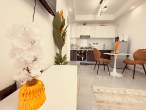 Meteor Garden Kilimani City View Apartment