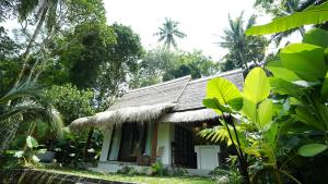 DPenglipuran Jungle House