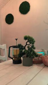 Камяний двір