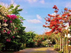 Vacation-home Villa Oceanami