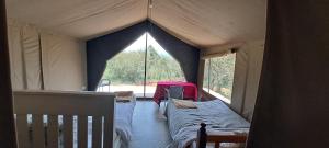 Golden Horn Safari Camp