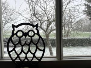 Luxury Sheppards Hut With Hot Tub Near Donnanook - Tawny