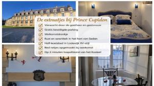 Château des Princes "Prince Cupidon"