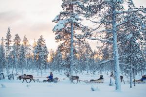 Kakslauttanen, 99830 Saariselkä, Lapland, Finland.