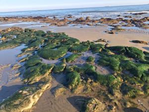 Sandhills Holiday Park Astounding Sea Views