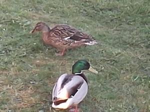 Sandhills Holiday Park Astounding Sea Views