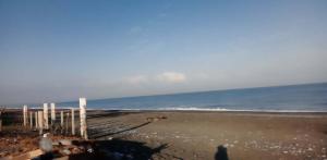 Cristys Sunny Place