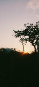 Cristys Sunny Place