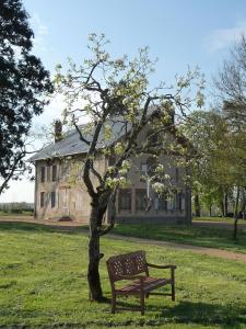 B&B / Chambres d'hotes Domaine de Savigny : photos des chambres