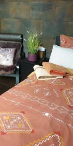 Small New Studio Brussels Centre