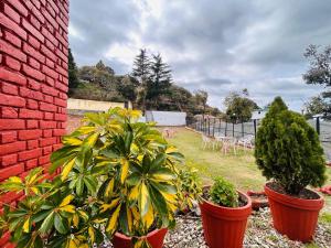 Banj View Resort