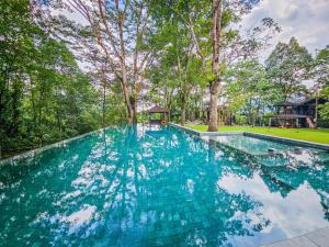 Templer Park Rainforest Retreat TPRR