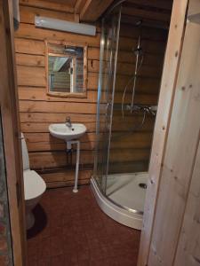 Männiku Metsatalu puhkemaja Vidiit