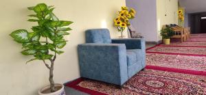 T-Suru & Guest house & Cafe