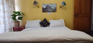 T-Suru & Guest house & Cafe