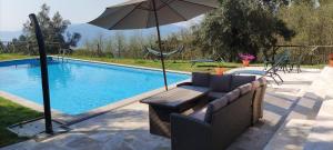 The Pool House