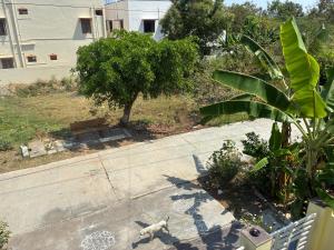 KDR Homes