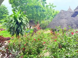 Tropinest bungalows & hostel