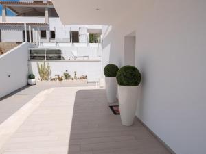 Villa con piscina privata BudoniAffitti img12