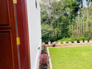 Ceylon tea resort Ella