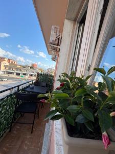 B&B Tanda Rooms Olbia img7