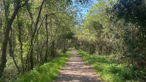 FERREIRAS HOUSE Viana do Castelo